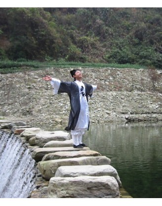 wudang kung fu styles